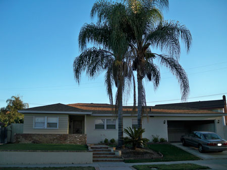 front_long_view.jpg front_long_view.jpg